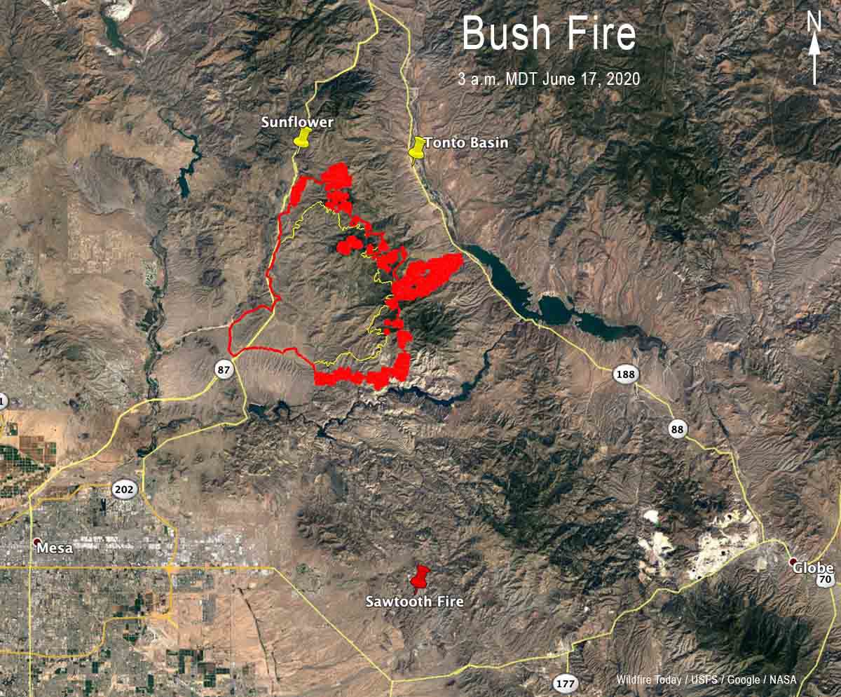 Bush Fire